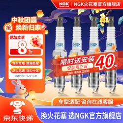 NGK 铱铂金 火花塞  四支装
