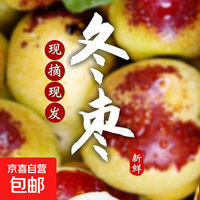 京喜加 正宗山西庙上冬枣脆甜青枣红枣皮薄肉厚现摘现发脆甜多汁 带箱5斤-净重4.5斤 单果12g+