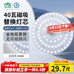 雷士 Lighting 雷士 NVC  LED吸顶灯板 36W 正白光
