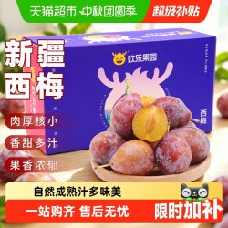 欢乐果园 新疆法兰西西梅伽师喀什李子孕妇当季水果