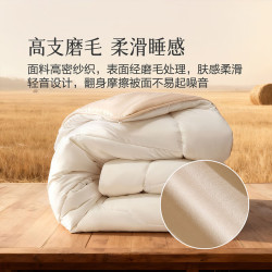 百丽丝 水星集团旗下 羊毛被澳洲进口羊毛A类羊毛被子被芯保暖冬被春秋被 四季被(约3-6斤) 220cm×240cm