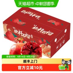泰壹榴 四川会理突尼斯软籽石榴新鲜应当季时令水果
