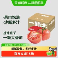 88VIP：一颗大 粉番茄沙瓤西红柿550g