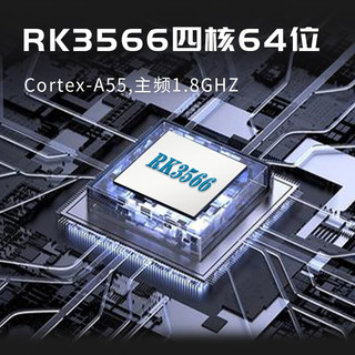 安伯尼克 RG353P Linux安卓双系统 灰色 256GB TF卡套装 掌上游戏机