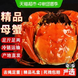 仲秋 大闸蟹礼盒公3.0两母2.0两5对10只鲜活螃蟹新鲜水产