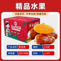 百亿补贴：天山雪莲 正宗云南天山雪莲果净重5/9斤水果气柱彩箱250-300g