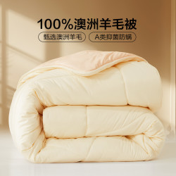 百丽丝 100% 澳洲羊毛进口冬被  150cm×210cm