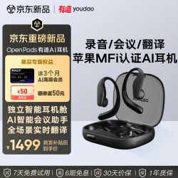 网易有道 OpenPods AI挂耳式 蓝牙耳机 录音/会议/翻译 MFI认证