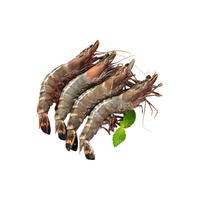 Seamix 鲜冻黑虎虾2kg 大规格21-25只/kg 超大号!