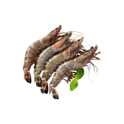Seamix 鲜冻黑虎虾2kg 大规格21-25只/kg 超大号！