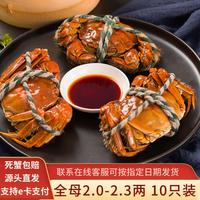 水淼鲜 洪湖大闸蟹鲜活螃蟹生鲜海鲜水产团购中秋礼盒 全母2.0-2.3两 10只装