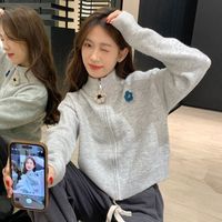20252设计感灰色拉链高领毛衣外套女春秋小个子短款针织衫上衣