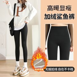 冬羊毛蚕丝考拉绒加厚瑜伽裤高腰显瘦收腹鲨鱼裤打底