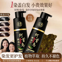 何首乌 染发剂一洗就黑可盖白发草本植物一支黑何首乌染发膏不沾头皮 自然黑【500ml 1瓶】