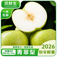 京鲜生 安徽砀山青翠梨净重8斤 单果200-250g+ 新鲜水果源头直发