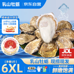 鲜海道 乳山生蚝 鲜活 6XL 5斤 6-9只 贝类