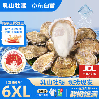 鲜海道 乳山生蚝 鲜活 6XL 5斤 6-9只 贝类