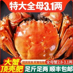 今旺 鲜活大闸蟹特大螃蟹礼盒现货母蟹2.8-3.1两8只