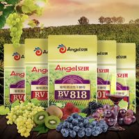 安琪 高活性干酵母 500g 白葡萄酒水果酒专用