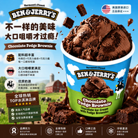 BEN&JERRY'S BEN & JERRY'S本杰瑞冰淇淋巧克力布朗尼大桶冰激凌465ml