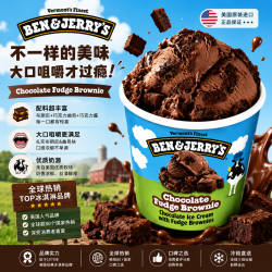 BEN&JERRY'S BEN & JERRY'S本杰瑞冰淇淋巧克力布朗尼大桶冰激凌465ml