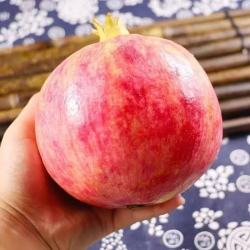 会理突尼斯软籽石榴 五斤 单个250g+包邮