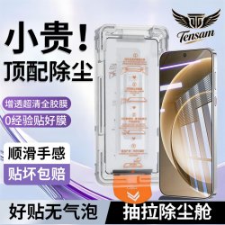 Tensam 适用oppo/一加/真我手机钢化膜防窥膜无尘仓全屏保护膜 一加 15 电镀除尘舱