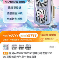 移动专享:盈通 AMD RX9070XT樱瞳水着花嫁16G D6视频剪辑元气显卡电竞直播