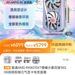 盈通 AMD RX9070XT樱瞳水着花嫁16G D6视频剪辑元气显卡电竞直播