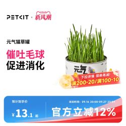 小佩 元气猫草种子水培套装 猫咪零食