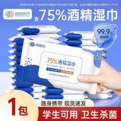 超亚医药 超亚75%酒精消毒湿巾10抽湿纸巾小包装学生家用便携杀菌儿童湿巾
