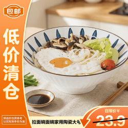 亿嘉 拉面碗家用陶瓷大号汤碗陶瓷中式面碗 兰草8英寸