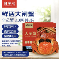 鲜京采 鲜活大闸蟹 全母蟹 3.0两 4对8只 去绳足重 蟹类螃蟹中秋节海鲜礼盒