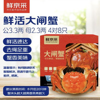 鲜京采 鲜活大闸蟹 公蟹3.3两 母蟹2.3两 4对8只 足重 蟹类螃蟹礼盒源头直发