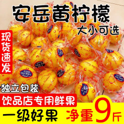 优味集 四川安岳黄柠檬新鲜水果应季一级鲜柠檬5斤装丨大果120g+丨净4.5-5斤