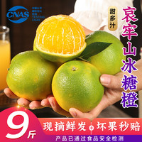 优味集 云南哀牢山冰糖橙新鲜橙子应季水果青皮脐橙 3斤装丨甄选果75-80mm丨净2.8-3斤