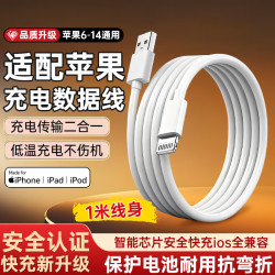 trendsetter 适用于苹果数据线快充USB充电线苹果14/13/12/11/x/8/7/6/PLUS手机蓝牙耳机充电器线