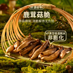 薛记炒货 海盐味鹿茸 蜜饯果干 不限购
