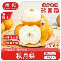 京觅 山东烟台莱阳头茬秋月梨 净重3斤大果 单果300g+水果源头直发包邮