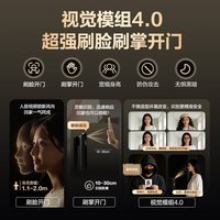 萤石 Y31Pro 人脸指纹识别 霸王锁体版 智能门锁