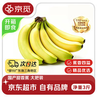 京觅 东莞精品大把甜香蕉 净重3斤 单根150g+即食甜蕉生鲜水果源头直发