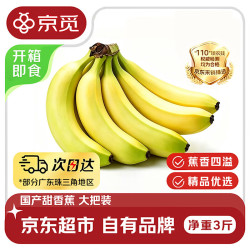 京觅 东莞精品大把甜香蕉 净重3斤 单根150g+即食甜蕉生鲜水果源头直发