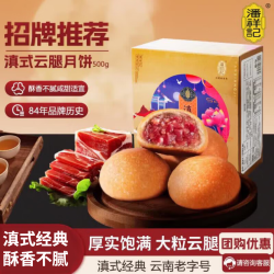 潘祥记 滇食尚 滇式云腿月饼 500g