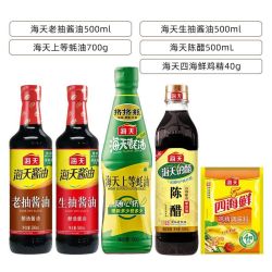 海天 调料组合套装全套酱油料酒酱料蘸料炒菜烹饪调料包多件套
