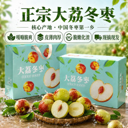 京觅 陕西大荔冬枣礼盒装 净重4斤 精品单果22g+ 中秋礼品 源头直发