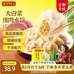 湾仔码头 大白菜猪肉水饺 1.32kg