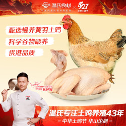 温氏 天露三黄鸡 800g