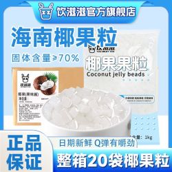 饮滋滋 原味椰果粒商用整箱奶茶店专用甜品水果捞原料烘焙冰粉小料