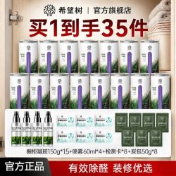 FULL OF HOPE 希望树除甲醛新房150g甲醛清除剂吸甲醛除醛角落