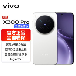 vivo X300 Pro 卫星通信版 5G手机 16GB+1TB 简单白